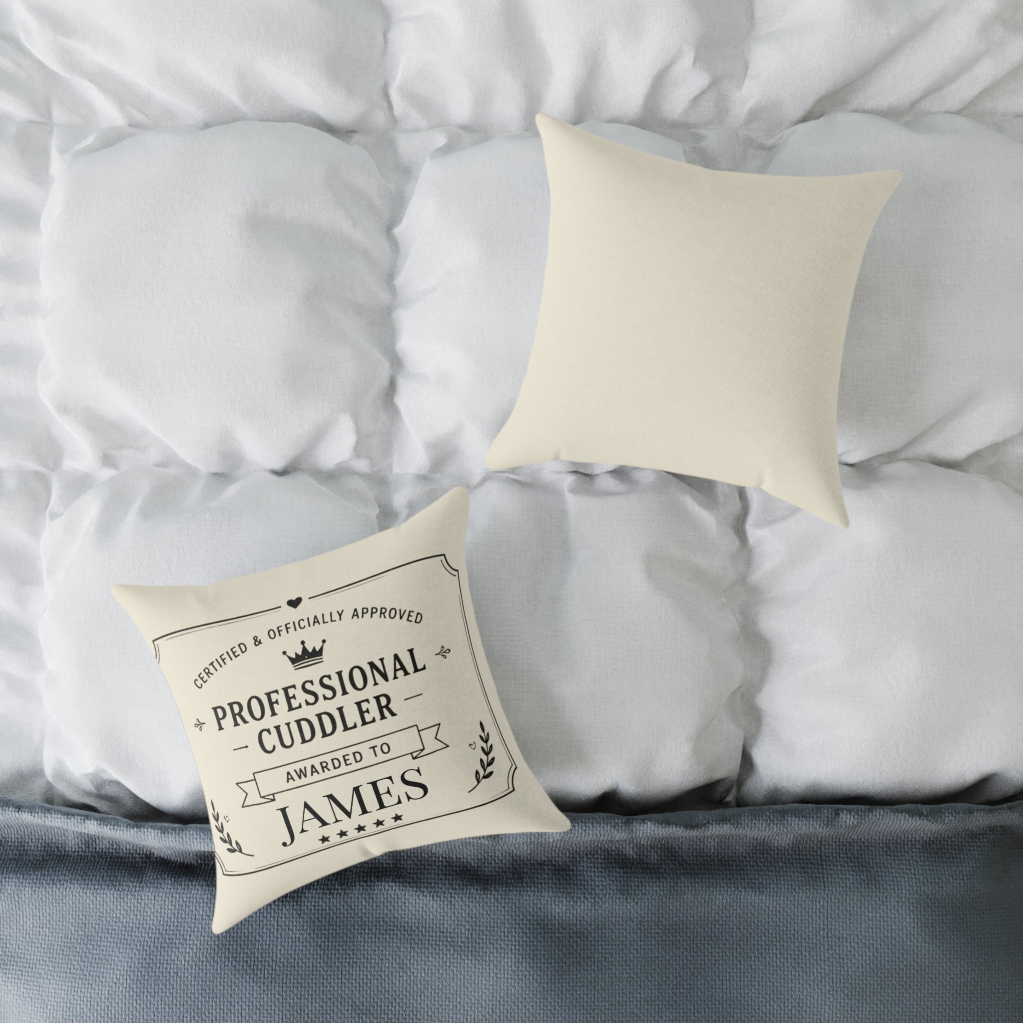 Funny personalized gift pillow in home setting – professional cuddler award